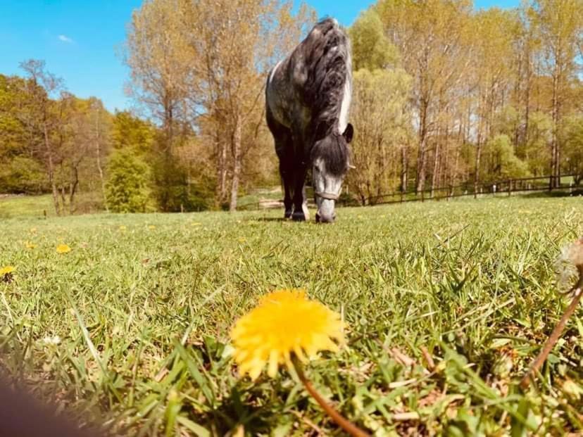 Faire Une Pause Avec Le Temps Thimister Luaran gambar